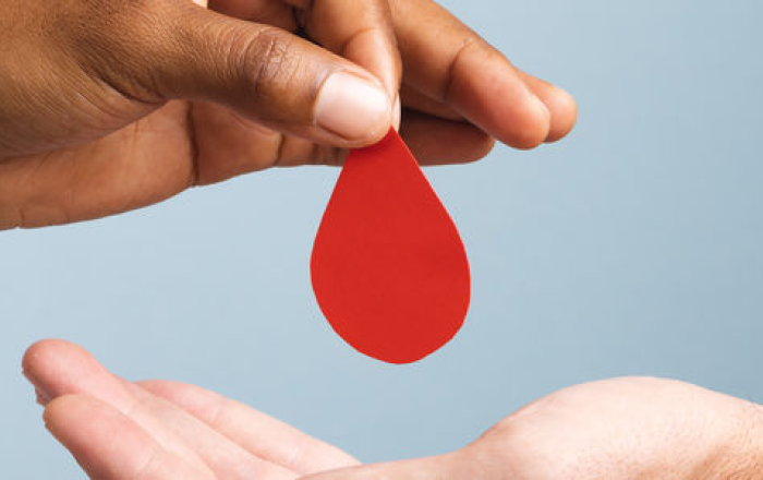Bando #UniPerDonare: Università e Ministero della Salute promuovono la donazione di sangue tra gli studenti universitari